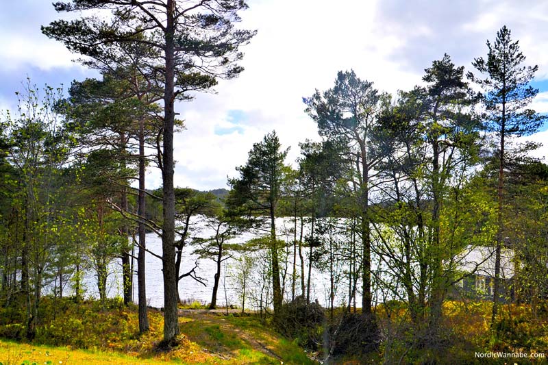 Kristiansund, Norwegen, Blog, Skandinavien, Costa, Kreuzfahrt, NeoRomantica, Atlantikstraße, Mai, Kernes Stabkirche
