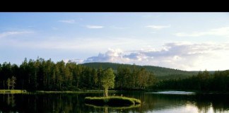 typisch finnisch, Finnland Blog, Sauna, Elche