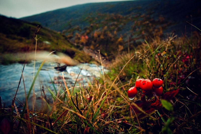Finnland, Finland, Natur, Outdoor, Lagerfeuer, Sport, Angeln, Wald, See, Kajak, Haus, Zelt, Beeren, Nordlichter, Blog, Skandinavien