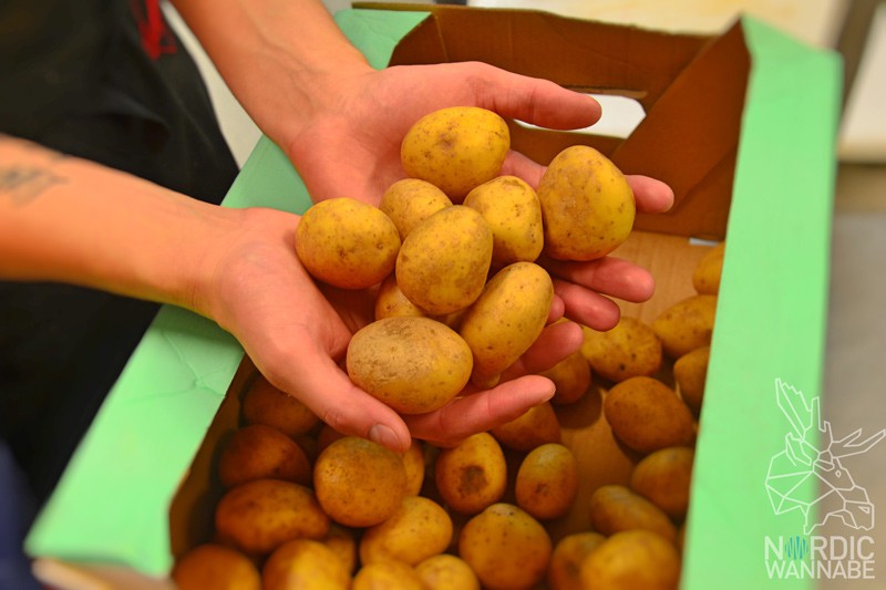 Hering, Lachs, Kartoffeln, Dill, Erdbeere, Kötbullar, Mittsommer, Midsummer, Midsommar, Schweden; Sweden, Vänersborg, Hotell Hehrne, Blog, Skandinavien, Fest, typisch schwedisch 