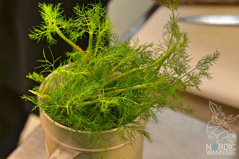 Hering, Lachs, Kartoffeln, Dill, Erdbeere, Kötbullar, Mittsommer, Midsummer, Midsommar, Schweden; Sweden, Vänersborg, Hotell Hehrne, Blog, Skandinavien, Fest, typisch schwedisch 