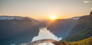 Norwegen, Schaf, Urlaub, Blog, Skandinavien , Natur, Botschafter