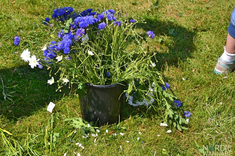 Mittsommer, Midsummer, Midsommar, Schweden; Sweden, Vänersborg, Hotell Hehrne, Blog, Skandinavien, Fest, typisch schwedisch