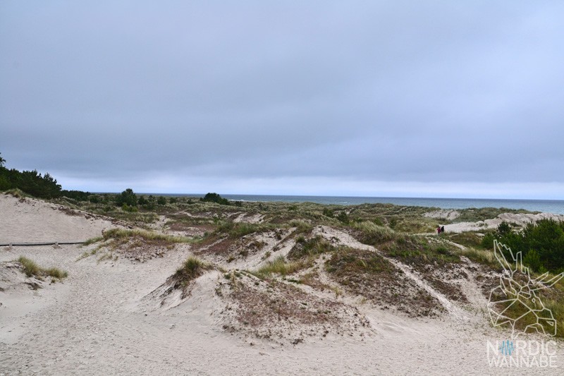 Sandhammeren, Schönster Strand, Sachwaden, Blog, Skandinavien
