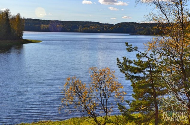 Schweden, typisch schwedisch, Landschaft, Blog, Skandinavien, See, Wald, Natur, Beeren, Rote H&auml;user, Schwedenhaus, Elch
