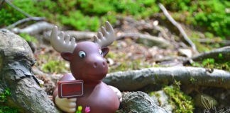 Elch-Ente, Elchente, Lasse, Scandic Hotel, Wo gibt es, Quietschende, Schweden, Skandinavien, Blog, Elch