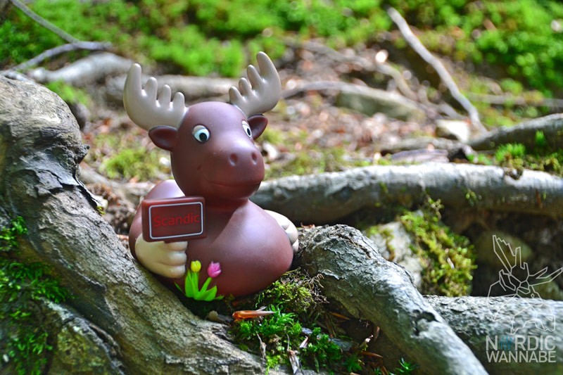 Elch-Ente, Elchente, Lasse, Scandic Hotel, Wo gibt es, Quietschende, Schweden, Skandinavien, Blog, Elch