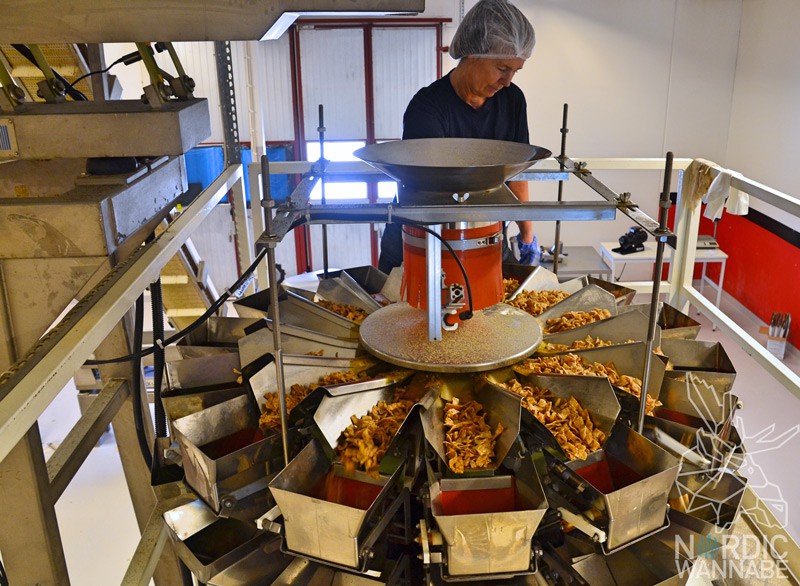 Bohnenchips, braune Bohnen, Öländska Bonchips, Öland, Schweden, Blog, Skandinavien, gesunde Chips, ökologisch, biologisch, gesund, Insel, schwedische Spezialitäten