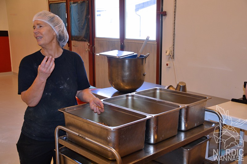 Bohnenchips, braune Bohnen, Öländska Bonchips, Öland, Schweden, Blog, Skandinavien, gesunde Chips, ökologisch, biologisch, gesund, Insel, schwedische Spezialitäten