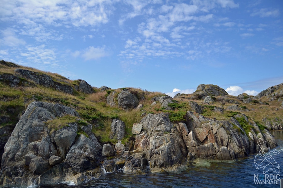 Røvær, Rovaer, Erfahrungen, Insel, Tipps, Norwegen, Skandinavien, Blog, Reiseblog, Travelblog, Haugesund, Kreuzfahrt, AIDA, AIDAcara, Skandiblog, Magisch