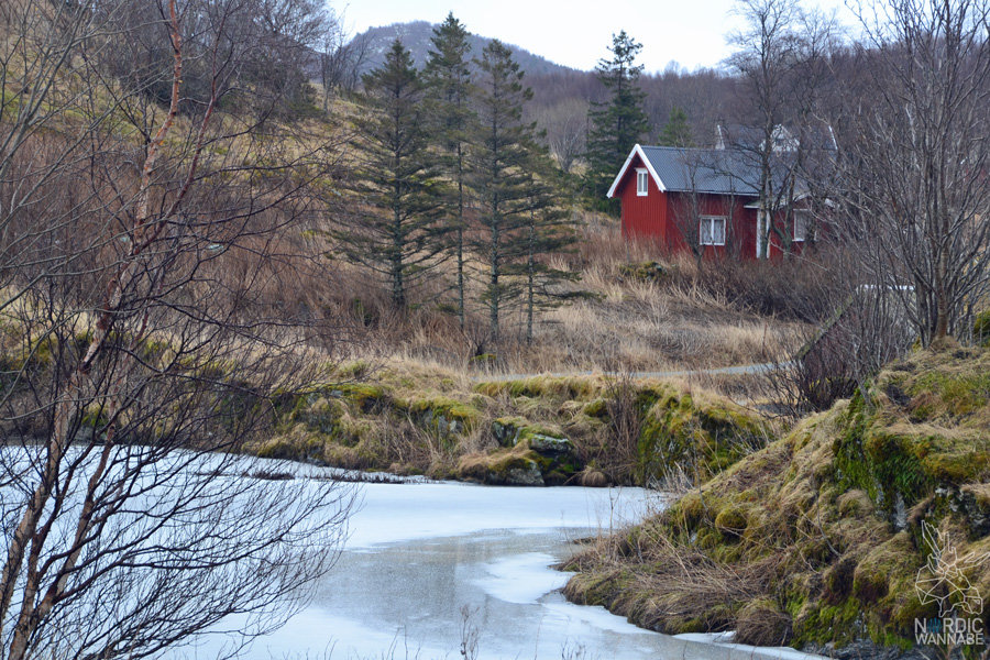 Norwegen, Skandinavien, Saltstraumen, Bodo, Bodø, Bodö, Berge, Fjorde, Blog, Skandiblog, Hygge, Roadtrip, Kreuzfahrt, AIDAcara,