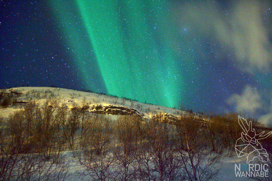 Alta, Aurora Borealis, Erfahrungen, Nordlichter, Polarlichter, Nordlichtsafari, Peskatun, AIDA, Nordnorwegen, Norwegen, Skandinavien, Blog