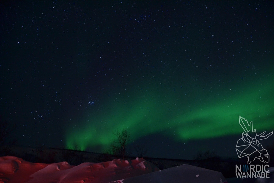 Alta, Aurora Borealis, Erfahrungen, Nordlichter, Polarlichter, Nordlichtsafari, Peskatun, AIDA, Nordnorwegen, Norwegen, Skandinavien, Blog