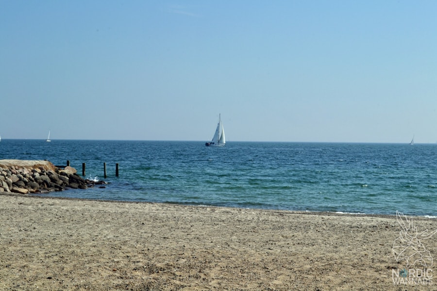 Dänemark Blog, Dänemark, Blog, Skandinavien, Dünen, Strand ,