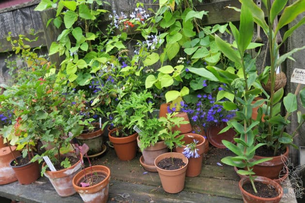 Reise, Urlaub, Erfahrungen, Aarhus, &Aring;rhus, Visitaarhus, CABINN, K&auml;hler, Royal Copenhagen, La Cabra, Shopping, Einkaufen, Hotel, &Uuml;bernachten, Reisetipps, Reisebericht, Streetfood Market, Hygge, Bolia, Plastik Boy, Regenbogen, Regnbogengang, Aros, Den Gamle By, Krake, Botanischer Garten, Dok1, Dome of Visions, Bruins Galleri, Sinnerup,