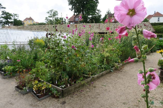 Reise, Urlaub, Erfahrungen, Aarhus, &Aring;rhus, Visitaarhus, CABINN, K&auml;hler, Royal Copenhagen, La Cabra, Shopping, Einkaufen, Hotel, &Uuml;bernachten, Reisetipps, Reisebericht, Streetfood Market, Hygge, Bolia, Plastik Boy, Regenbogen, Regnbogengang, Aros, Den Gamle By, Krake, Botanischer Garten, Dok1, Dome of Visions, Bruins Galleri, Sinnerup,