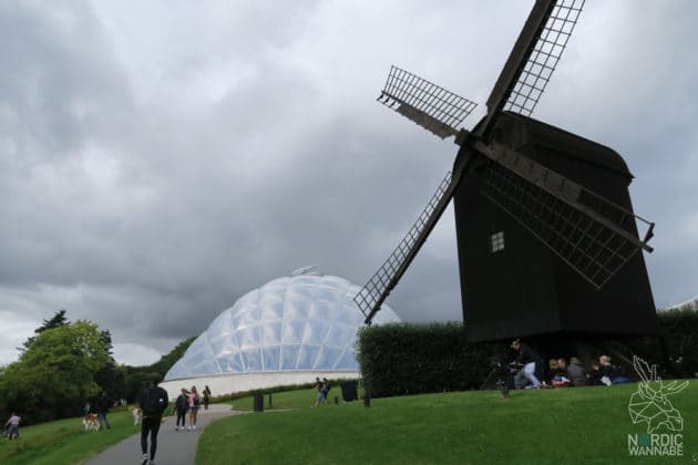 Reise, Urlaub, Erfahrungen, Aarhus, &Aring;rhus, Visitaarhus, CABINN, K&auml;hler, Royal Copenhagen, La Cabra, Shopping, Einkaufen, Hotel, &Uuml;bernachten, Reisetipps, Reisebericht, Streetfood Market, Hygge, Bolia, Plastik Boy, Regenbogen, Regnbogengang, Aros, Den Gamle By, Krake, Botanischer Garten, Dok1, Dome of Visions, Bruins Galleri, Sinnerup,