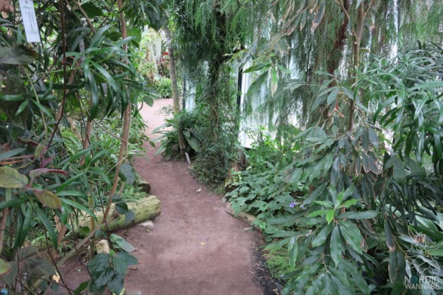 Reise, Urlaub, Erfahrungen, Aarhus, &Aring;rhus, Visitaarhus, CABINN, K&auml;hler, Royal Copenhagen, La Cabra, Shopping, Einkaufen, Hotel, &Uuml;bernachten, Reisetipps, Reisebericht, Streetfood Market, Hygge, Bolia, Plastik Boy, Regenbogen, Regnbogengang, Aros, Den Gamle By, Krake, Botanischer Garten, Dok1, Dome of Visions, Bruins Galleri, Sinnerup,