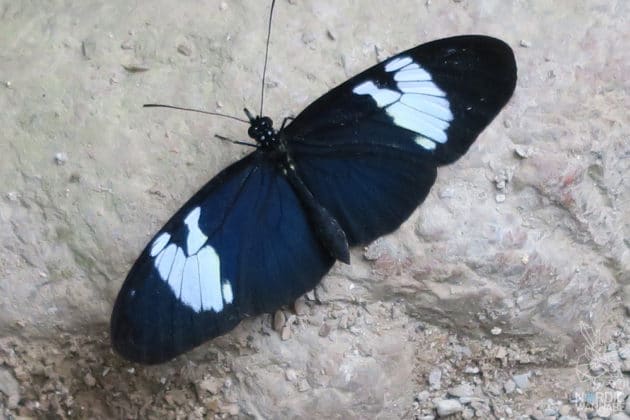 Reise, Urlaub, Erfahrungen, Aarhus, &Aring;rhus, Visitaarhus, CABINN, K&auml;hler, Royal Copenhagen, La Cabra, Shopping, Einkaufen, Hotel, &Uuml;bernachten, Reisetipps, Reisebericht, Streetfood Market, Hygge, Bolia, Plastik Boy, Regenbogen, Regnbogengang, Aros, Den Gamle By, Krake, Botanischer Garten, Dok1, Dome of Visions, Bruins Galleri, Sinnerup,