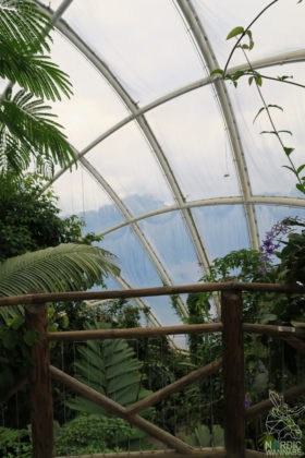 Reise, Urlaub, Erfahrungen, Aarhus, &Aring;rhus, Visitaarhus, CABINN, K&auml;hler, Royal Copenhagen, La Cabra, Shopping, Einkaufen, Hotel, &Uuml;bernachten, Reisetipps, Reisebericht, Streetfood Market, Hygge, Bolia, Plastik Boy, Regenbogen, Regnbogengang, Aros, Den Gamle By, Krake, Botanischer Garten, Dok1, Dome of Visions, Bruins Galleri, Sinnerup,