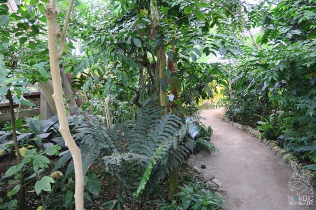 Reise, Urlaub, Erfahrungen, Aarhus, &Aring;rhus, Visitaarhus, CABINN, K&auml;hler, Royal Copenhagen, La Cabra, Shopping, Einkaufen, Hotel, &Uuml;bernachten, Reisetipps, Reisebericht, Streetfood Market, Hygge, Bolia, Plastik Boy, Regenbogen, Regnbogengang, Aros, Den Gamle By, Krake, Botanischer Garten, Dok1, Dome of Visions, Bruins Galleri, Sinnerup,