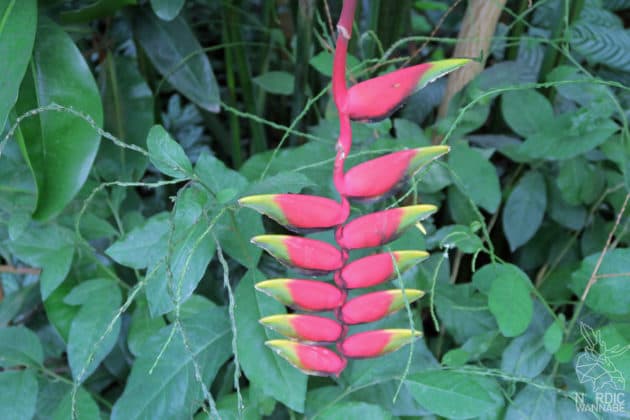 Reise, Urlaub, Erfahrungen, Aarhus, &Aring;rhus, Visitaarhus, CABINN, K&auml;hler, Royal Copenhagen, La Cabra, Shopping, Einkaufen, Hotel, &Uuml;bernachten, Reisetipps, Reisebericht, Streetfood Market, Hygge, Bolia, Plastik Boy, Regenbogen, Regnbogengang, Aros, Den Gamle By, Krake, Botanischer Garten, Dok1, Dome of Visions, Bruins Galleri, Sinnerup,