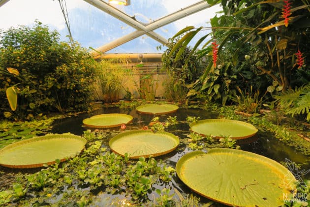 Reise, Urlaub, Erfahrungen, Aarhus, &Aring;rhus, Visitaarhus, CABINN, K&auml;hler, Royal Copenhagen, La Cabra, Shopping, Einkaufen, Hotel, &Uuml;bernachten, Reisetipps, Reisebericht, Streetfood Market, Hygge, Bolia, Plastik Boy, Regenbogen, Regnbogengang, Aros, Den Gamle By, Krake, Botanischer Garten, Dok1, Dome of Visions, Bruins Galleri, Sinnerup,