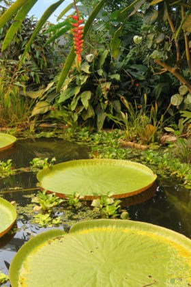 Reise, Urlaub, Erfahrungen, Aarhus, &Aring;rhus, Visitaarhus, CABINN, K&auml;hler, Royal Copenhagen, La Cabra, Shopping, Einkaufen, Hotel, &Uuml;bernachten, Reisetipps, Reisebericht, Streetfood Market, Hygge, Bolia, Plastik Boy, Regenbogen, Regnbogengang, Aros, Den Gamle By, Krake, Botanischer Garten, Dok1, Dome of Visions, Bruins Galleri, Sinnerup,