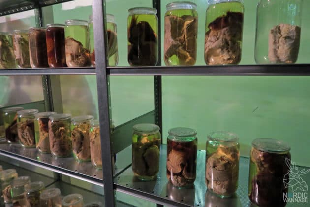 Reise, Urlaub, Erfahrungen, Aarhus, &Aring;rhus, Visitaarhus, CABINN, K&auml;hler, Royal Copenhagen, La Cabra, Shopping, Einkaufen, Hotel, &Uuml;bernachten, Reisetipps, Reisebericht, Streetfood Market, Hygge, Bolia, Plastik Boy, Regenbogen, Regnbogengang, Aros, Den Gamle By, Krake, Botanischer Garten, Dok1, Dome of Visions, Bruins Galleri, Sinnerup,