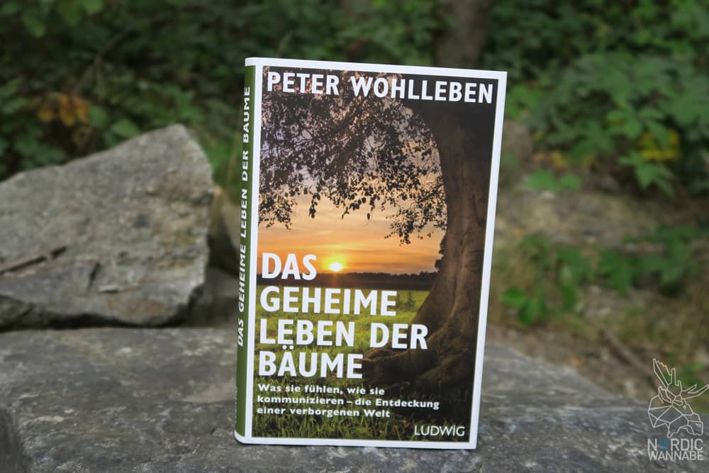 Hygge Natur, Badeöl, Badekristalle, Skandinavien Blog, Natur, Wald, Bäume, Fichten, Kiefern, Badewanne, Handcreme, Wood, Vasen, Flaschen, DIY, Das geheime Leben der Bäume, Skandinavien, Dänemark, Natur nach Hause holen