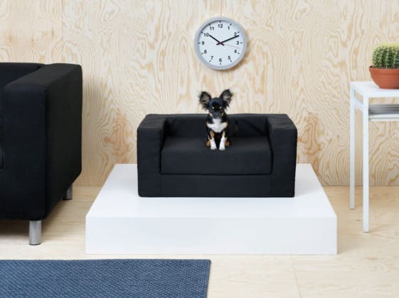 IKEA LURVIG - M&ouml;bel f&uuml;r Hunde und Katzen , Hundesofa, Katzensofa, Kratzbaum, Napf, Hundeleine, Hundedecke, Hundekissen, Transporttasche, Katze, Hunde, H&ouml;hle, Hundem&ouml;bel, Schweden, Klippan, Hundebett, Katzenspielzeug, Hundespielzeug, schwedisch, Blog, K&ouml;rbchen
