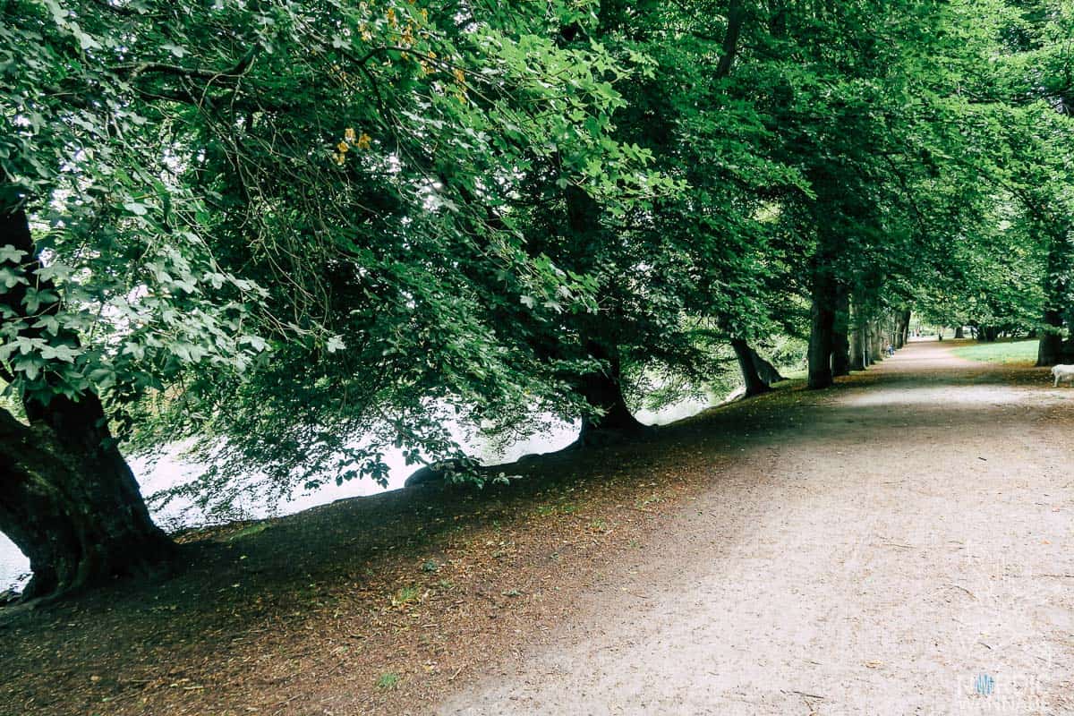 Malmö, Schweden, Sehenswürdigkeiten, Shopping, Schwedisch, Schweden Blog, Malmö Restaurants, Malmö Hotel, Tipps in Malmö, Fika, Turning Torso