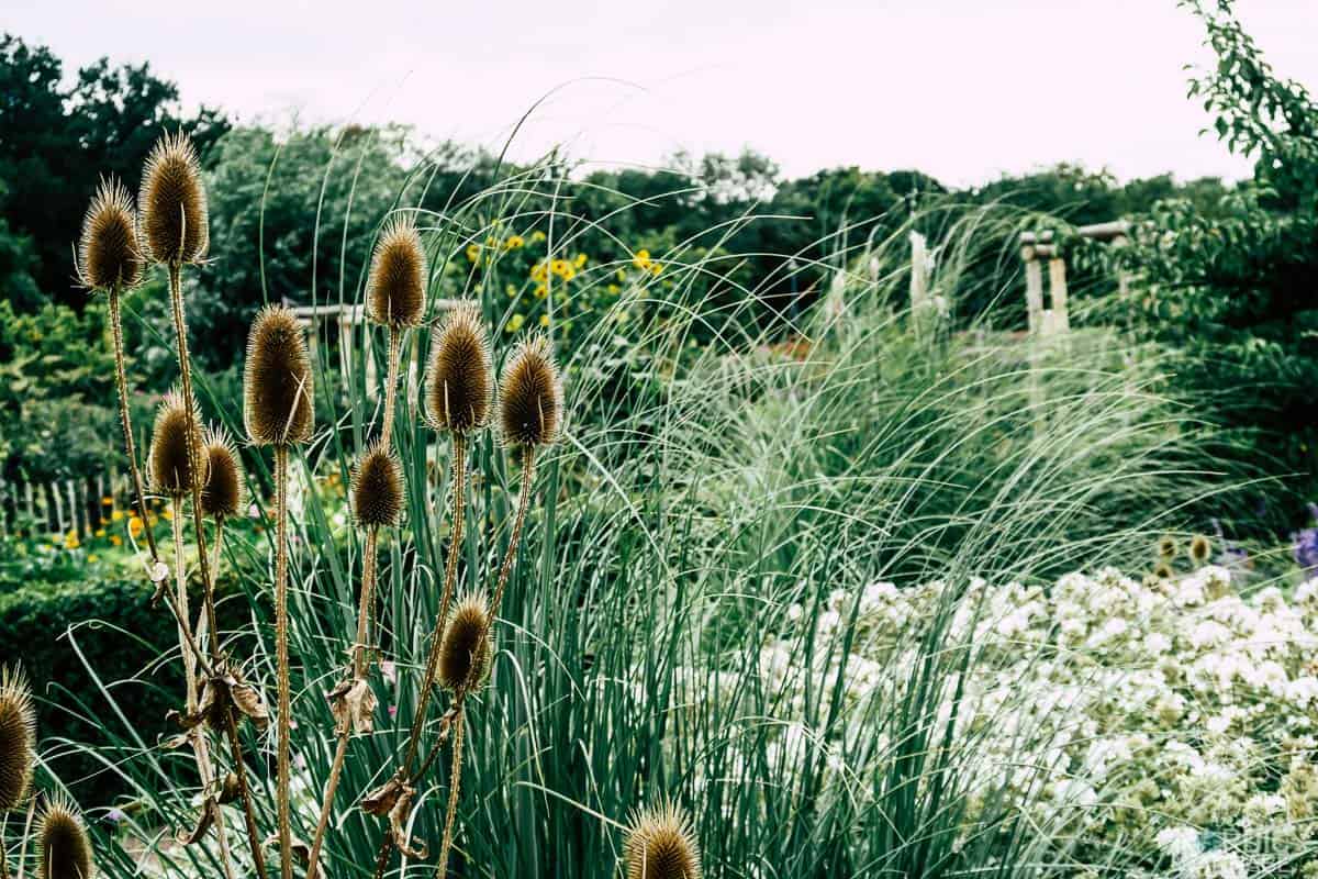 Malmö, Schweden, Sehenswürdigkeiten, Shopping, Schwedisch, Schweden Blog, Malmö Restaurants, Malmö Hotel, Tipps in Malmö, Fika, Turning Torso