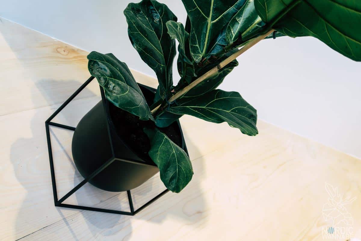 Skandinavisch-Wohnen-Hygge-2019-Blog-1