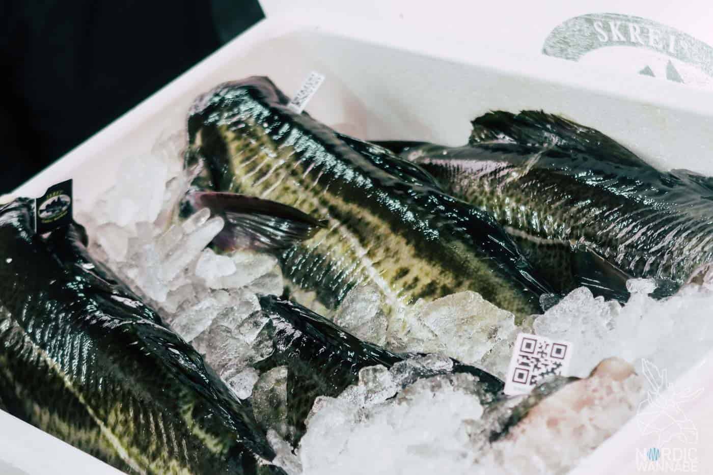 Lofoten, Skrei, Norwegen