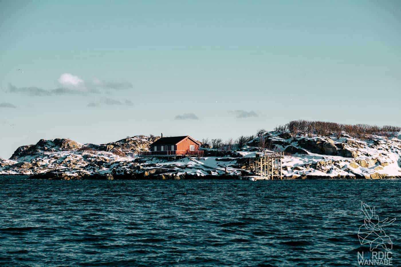 Lofoten, Skrei, Norwegen