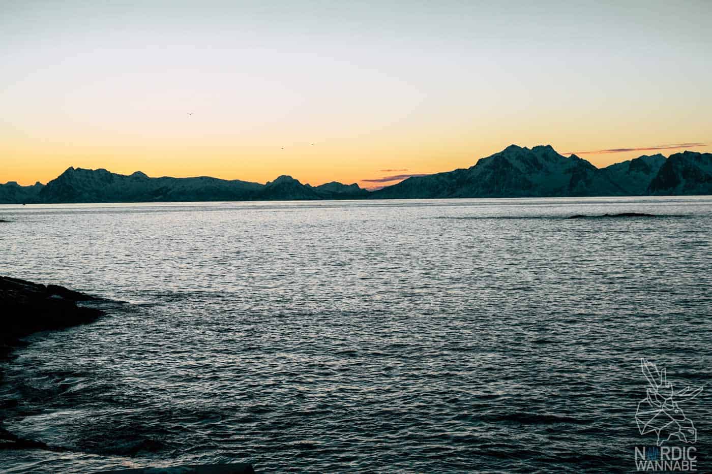 Lofoten, Skrei, Norwegen