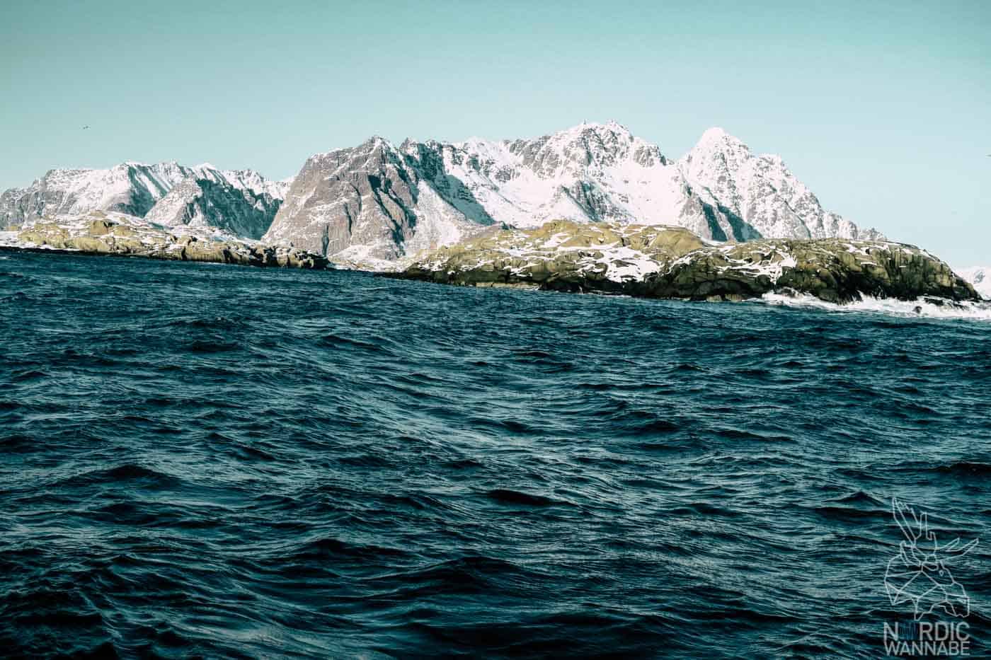 Lofoten, Skrei, Norwegen