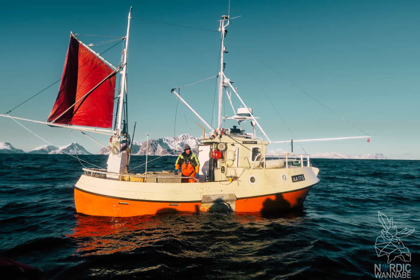 Lofoten, Skrei, Norwegen