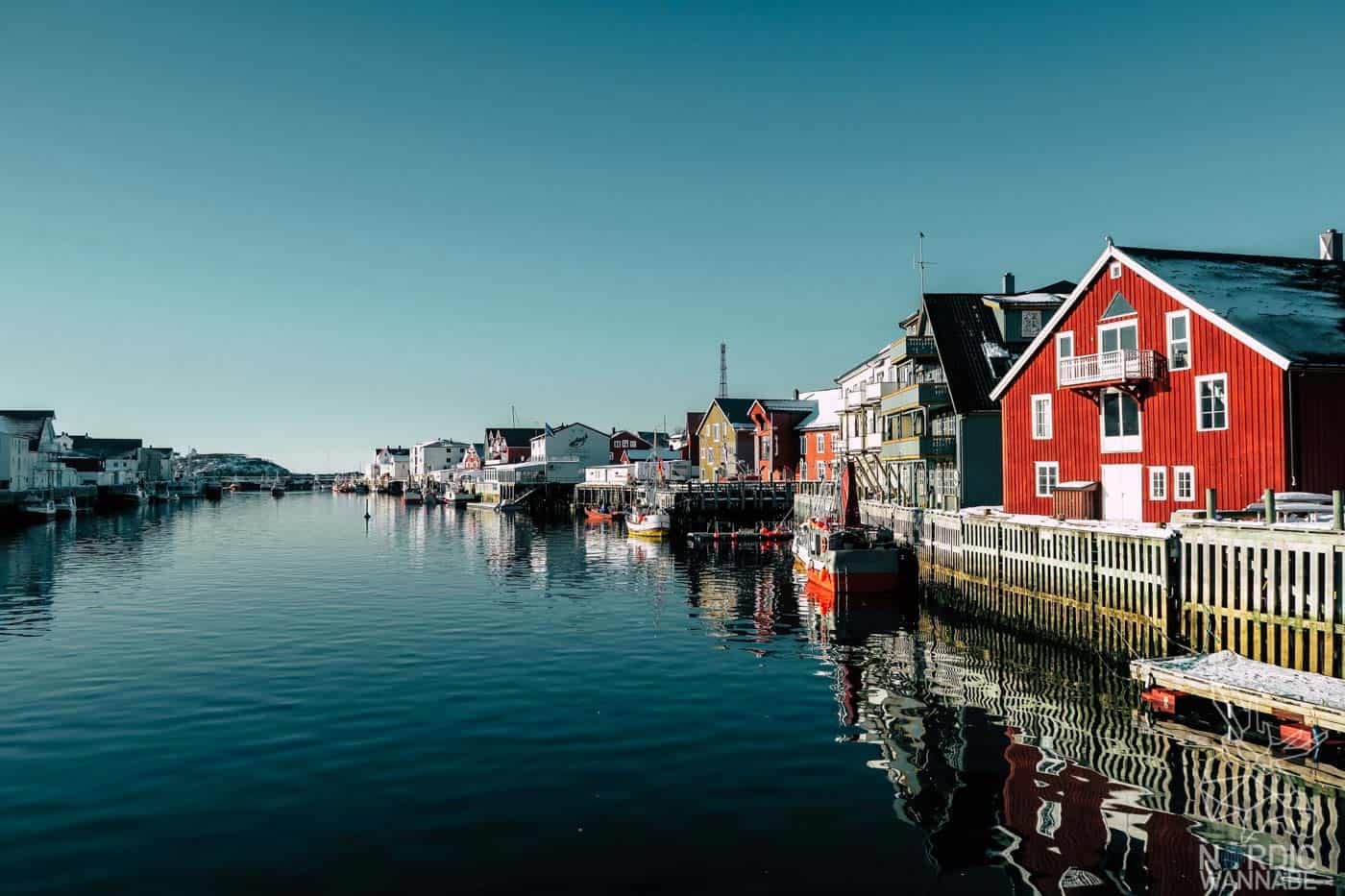 Lofoten, Skrei, Norwegen