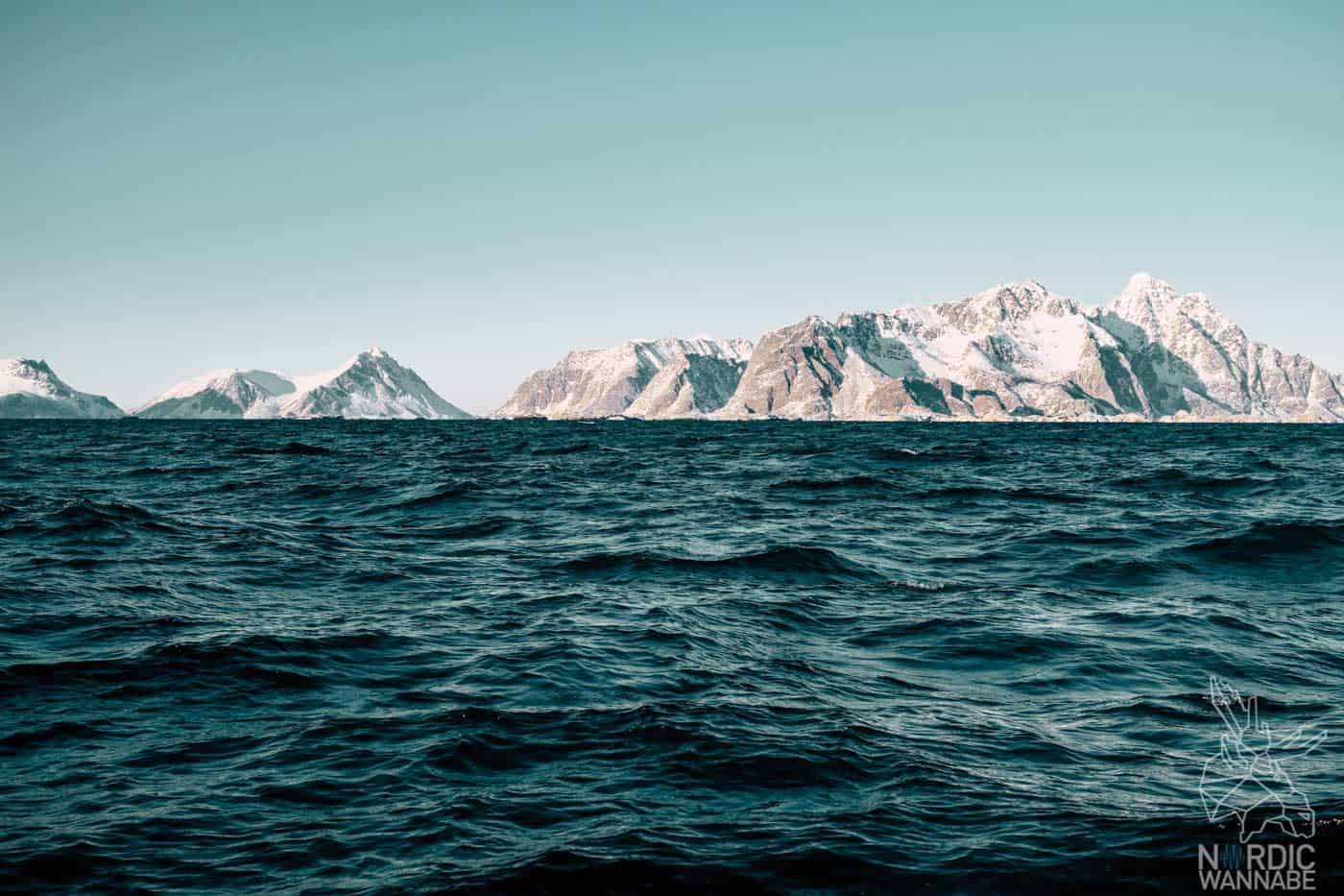 Lofoten, Skrei, Norwegen