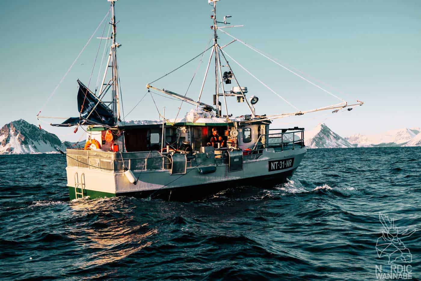 Lofoten, Skrei, Norwegen