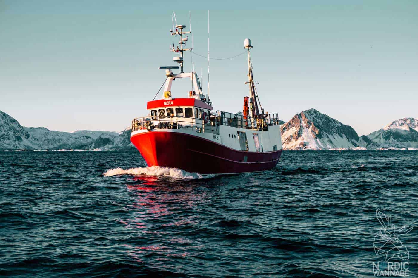 Lofoten, Skrei, Norwegen