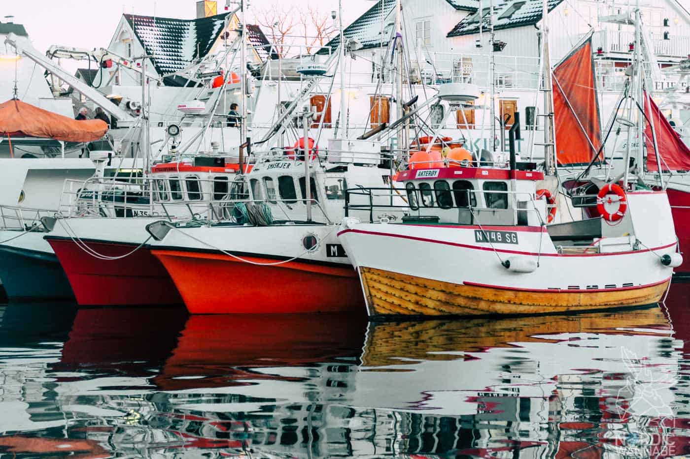 Lofoten, Skrei, Norwegen