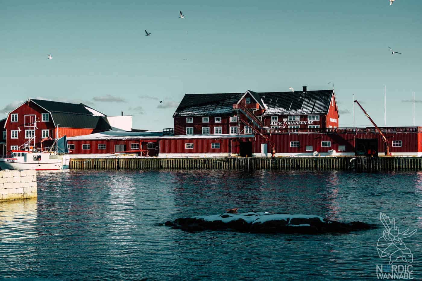 Lofoten, Skrei, Norwegen