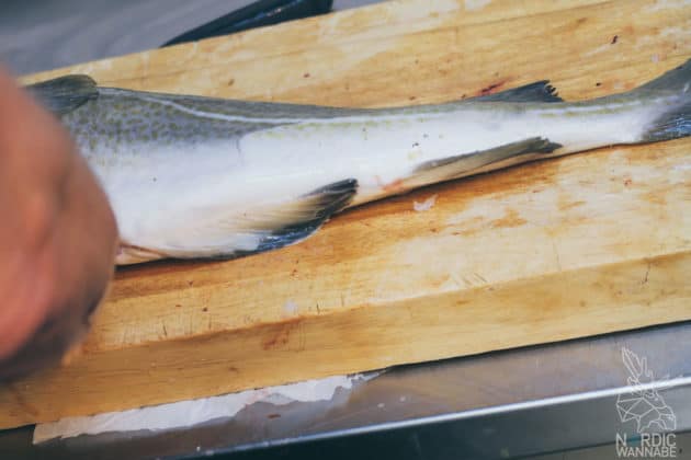 Lofoten, Skrei, Norwegen