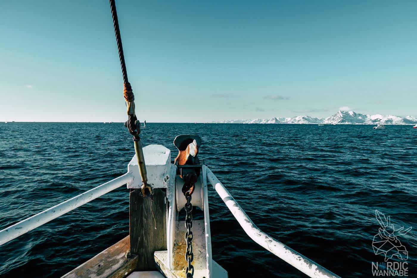 Lofoten, Skrei, Norwegen