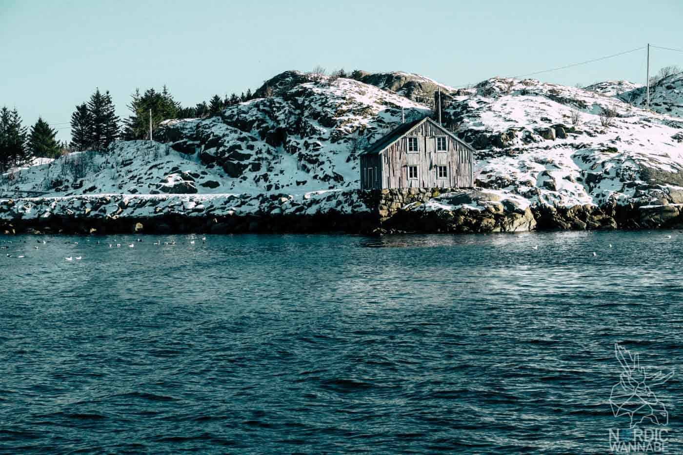 Lofoten, Skrei, Norwegen