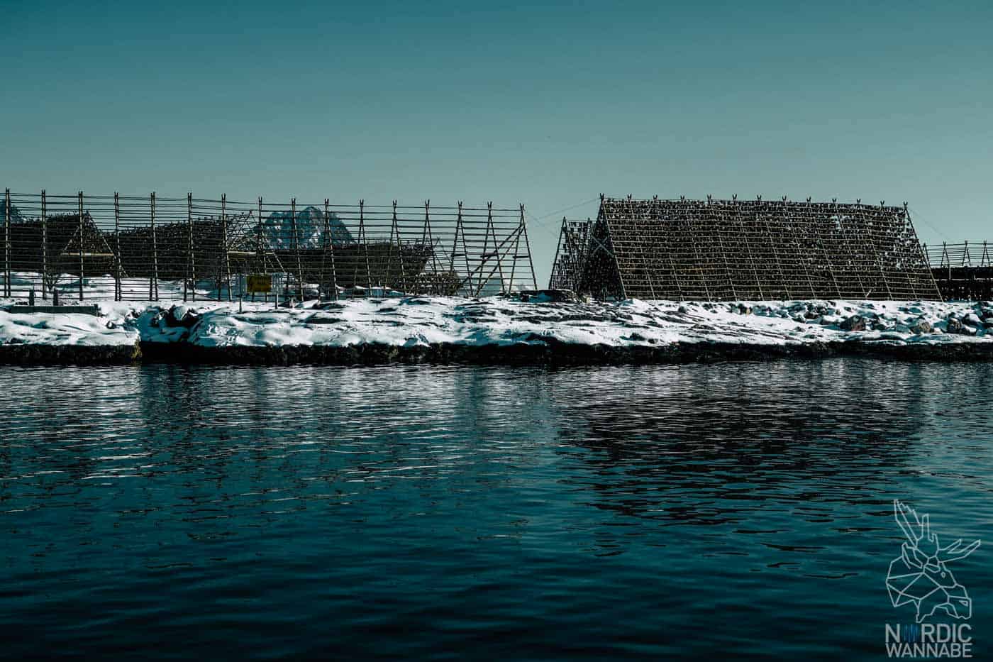 Lofoten, Skrei, Norwegen