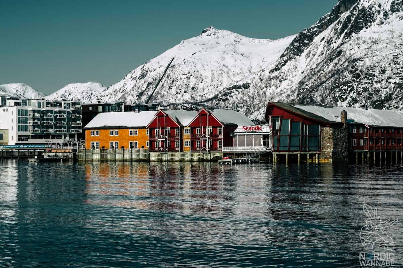 Lofoten, Skrei, Norwegen